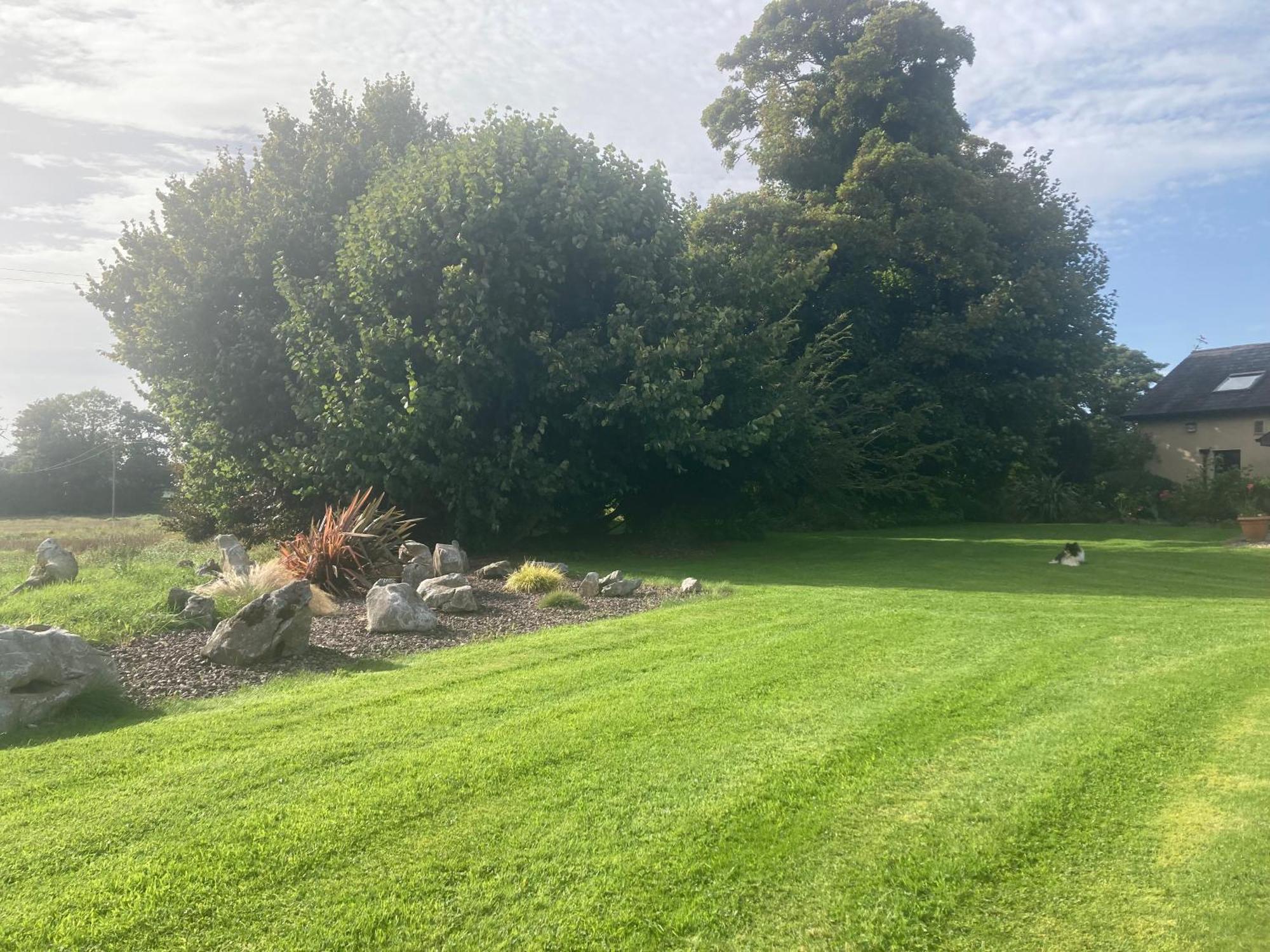 Grove House Country Rooms Shanballymore Exterior foto
